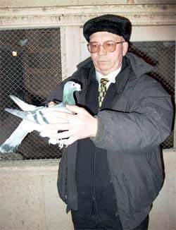 В хозяйстве диакона Владимира более тысячи голубей